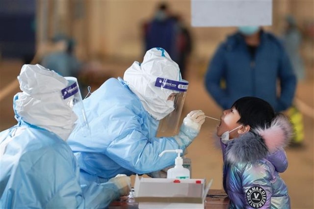 Hà Tĩnh: Cử bác sĩ, thuê tàu vào TP HCM đón công dân hoàn cảnh khó khăn về cách ly