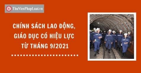 Những chính sách mới có hiệu lực từ tháng 9/2021